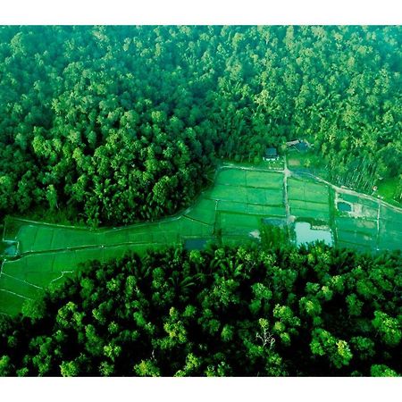 Vayal Veedu - Luxury Farm Villas By The Woods Muthanga Экстерьер фото