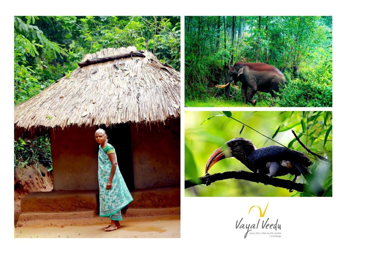 Vayal Veedu - Luxury Farm Villas By The Woods Muthanga Экстерьер фото