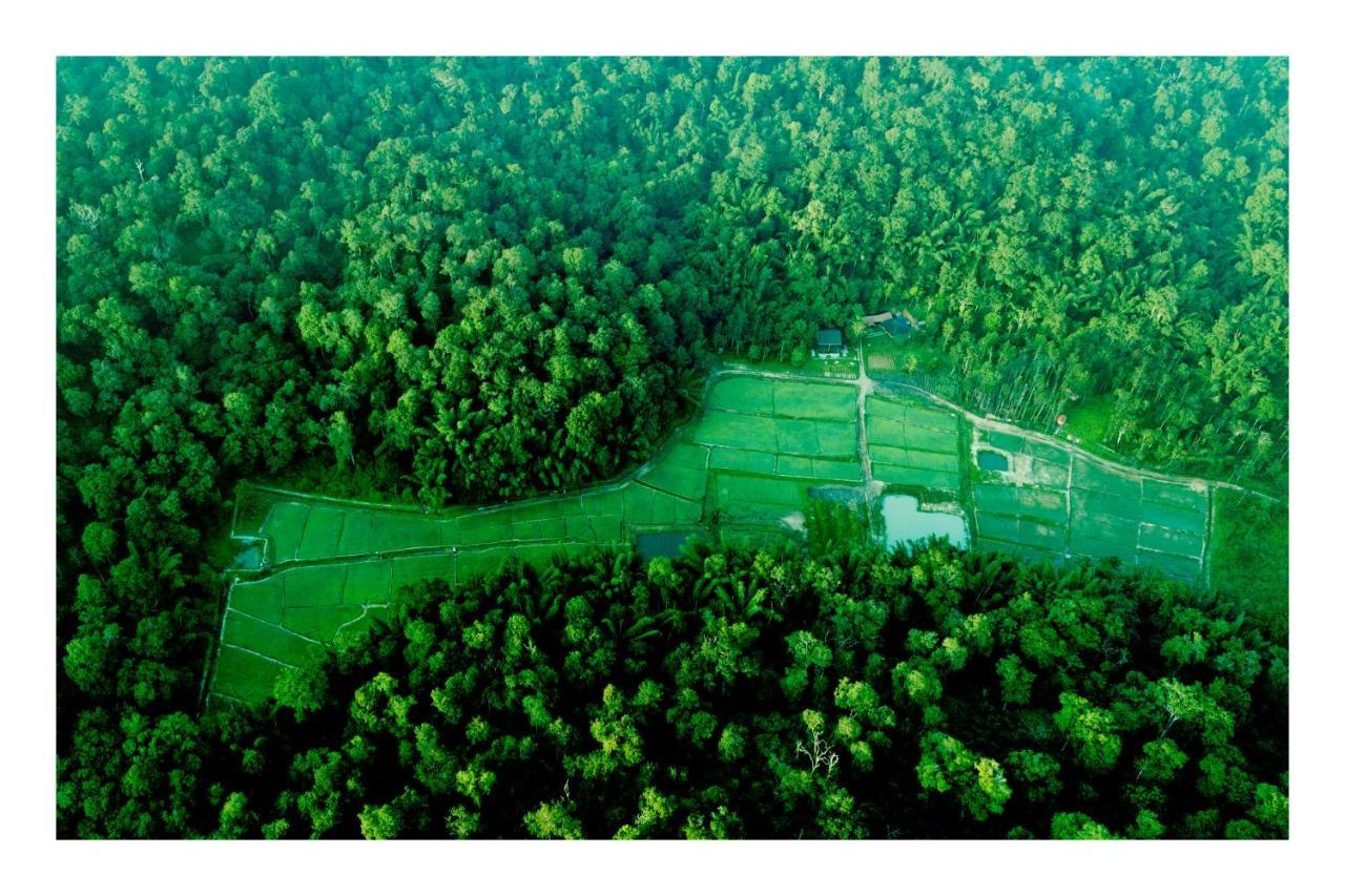 Vayal Veedu - Luxury Farm Villas By The Woods Muthanga Экстерьер фото